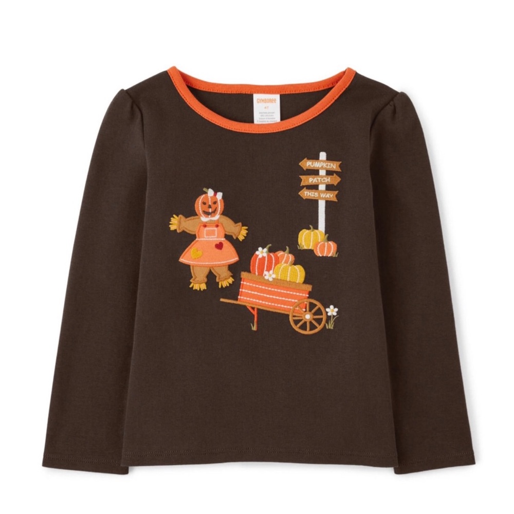 📌🆕 Gymboree • Embroidered Fall 🍂• Top